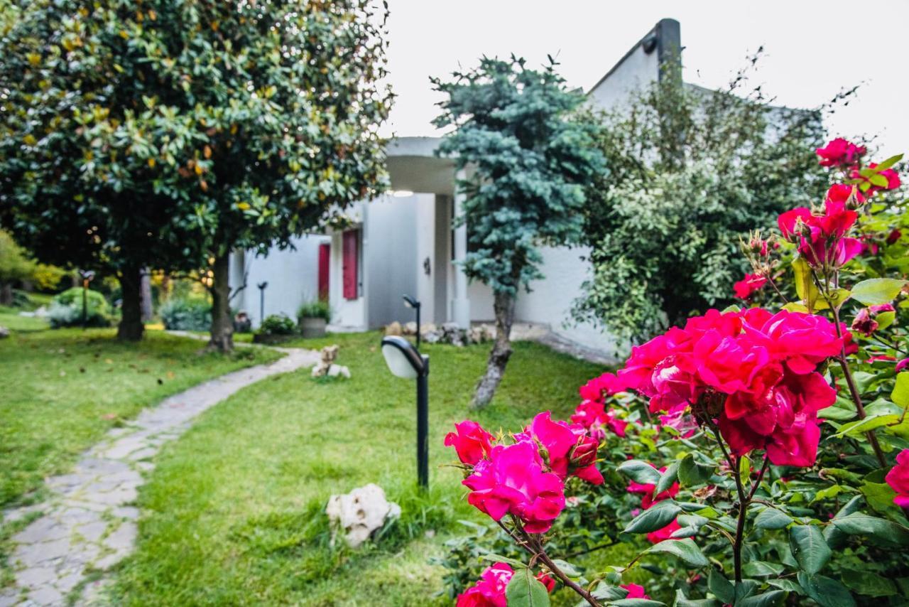 Villa Tanya Trebbiantico Exterior photo